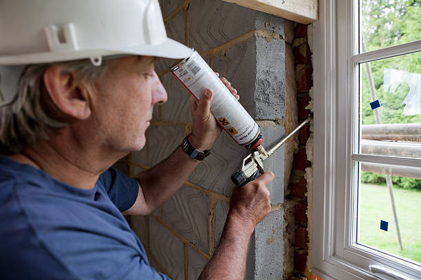 Professional Insulation Services in Wapello, IA